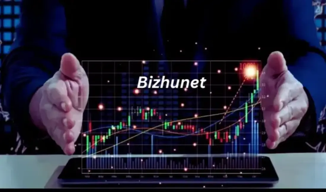 Bizhunet