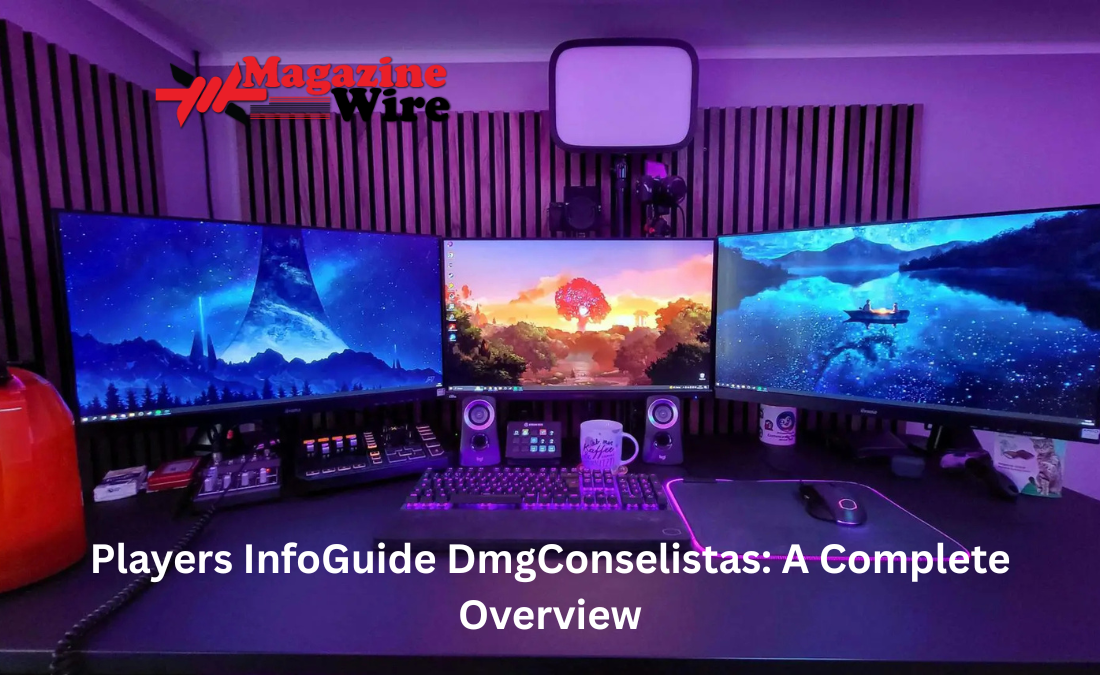 Players InfoGuide DmgConselistas